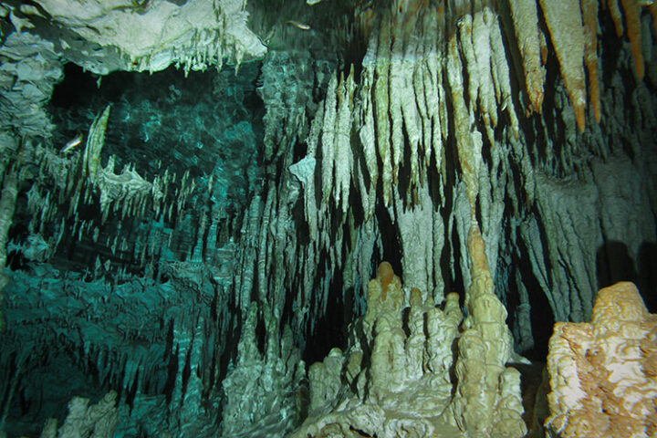 Tauchen im Sistema Dos Ojos, Tulum, Mexiko