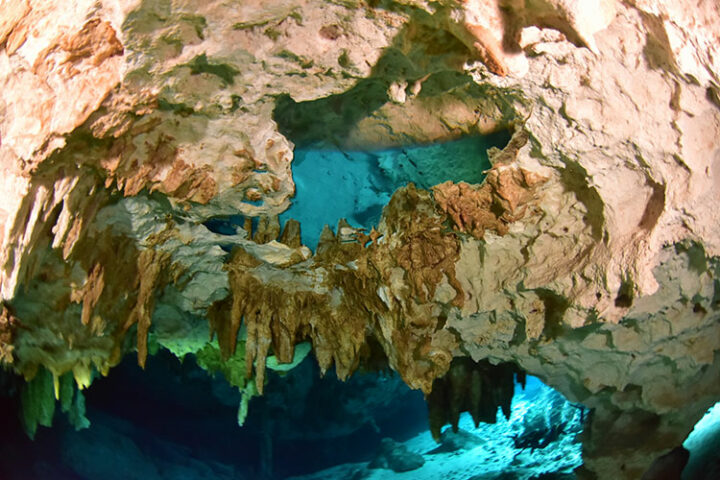 Tauchen im Sistema Dos Ojos, Tulum, Mexiko