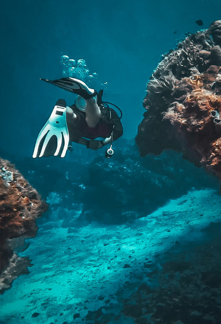 Cozumel - das mexikanische Taucherparadies