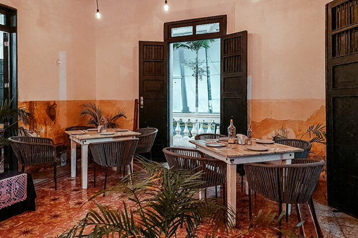 El Palomar, Isla Cozumel, Mexiko