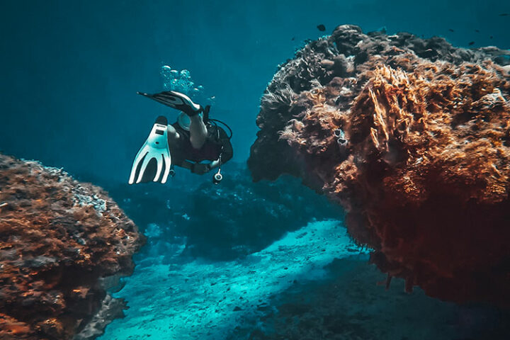Tauchen auf Cozumel, Yucatan, Mexiko