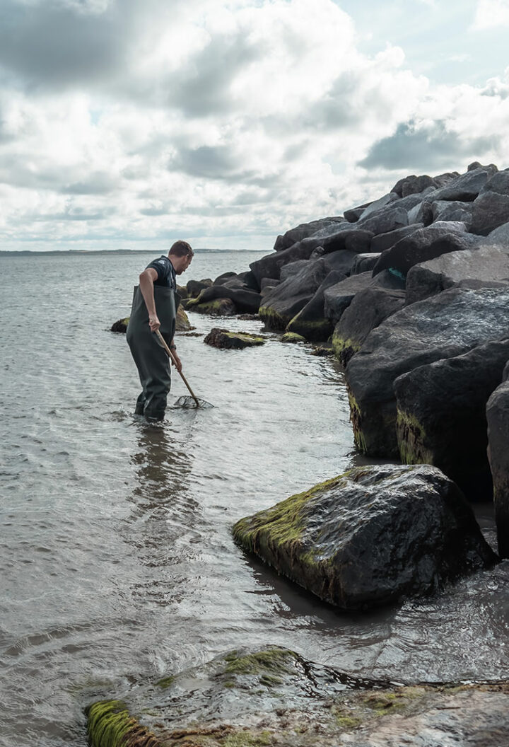Meeresfrüchtesafari mit JyllandsAkvariet in Thyboron, Dänemark
