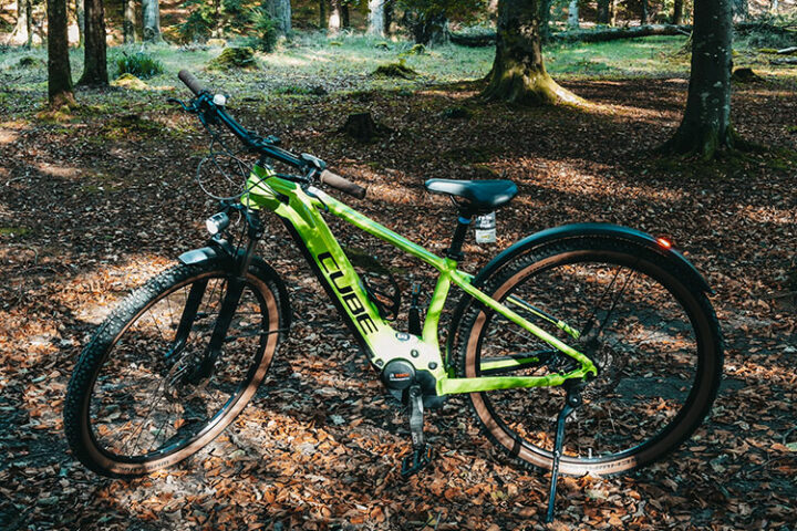 Tollymore Forest Park, Mourne Mountains, Nordirland