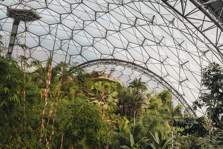 Regenwaldbiom im Eden Project, England
