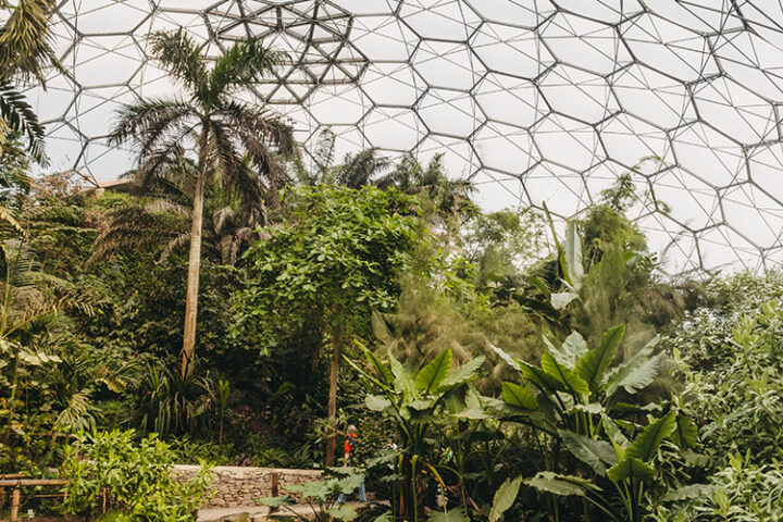 Eden Project, botanischer Garten, Bodelva, Cornwall