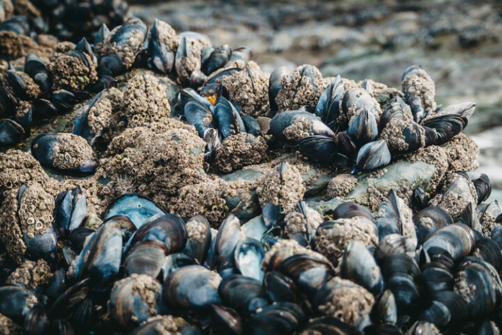 Gwithian Beach, Cornwall, England