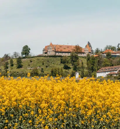 Schloss Frankenberg – Entspannung und Genuss im Steigerwald