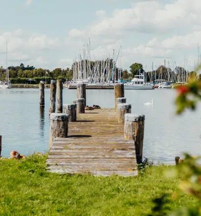 5 bezaubernde Orte an der Schlei, Schleswig-Holstein