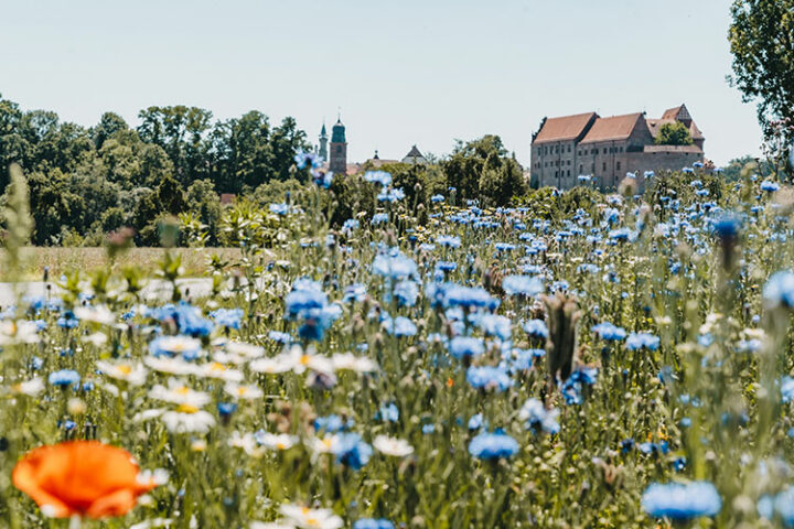 Ausflug nach Cadolzburg