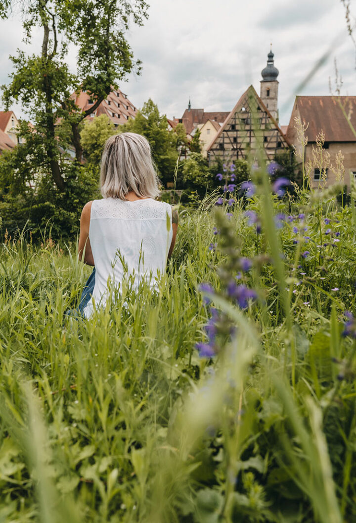 Königsstadt Forchheim, Franken, Deutschland