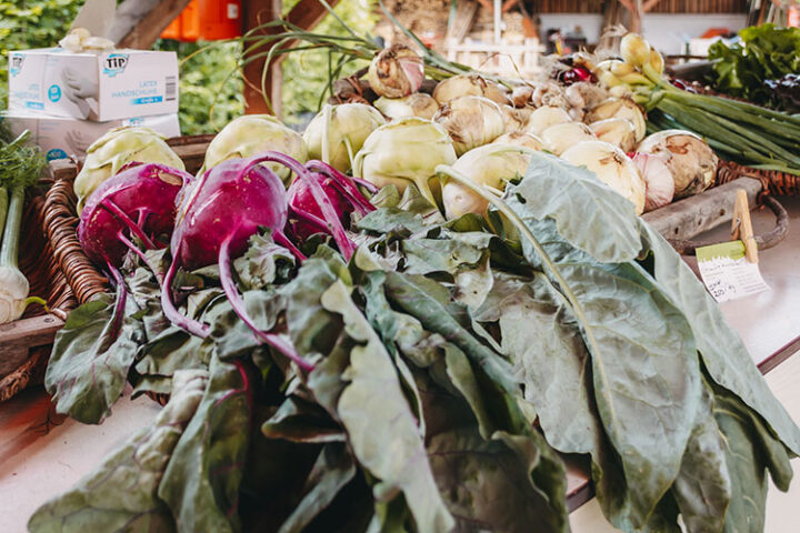 Bioland Gärtnerei Sebastian Niedermaier, Gärtnerstadt, Bamberg