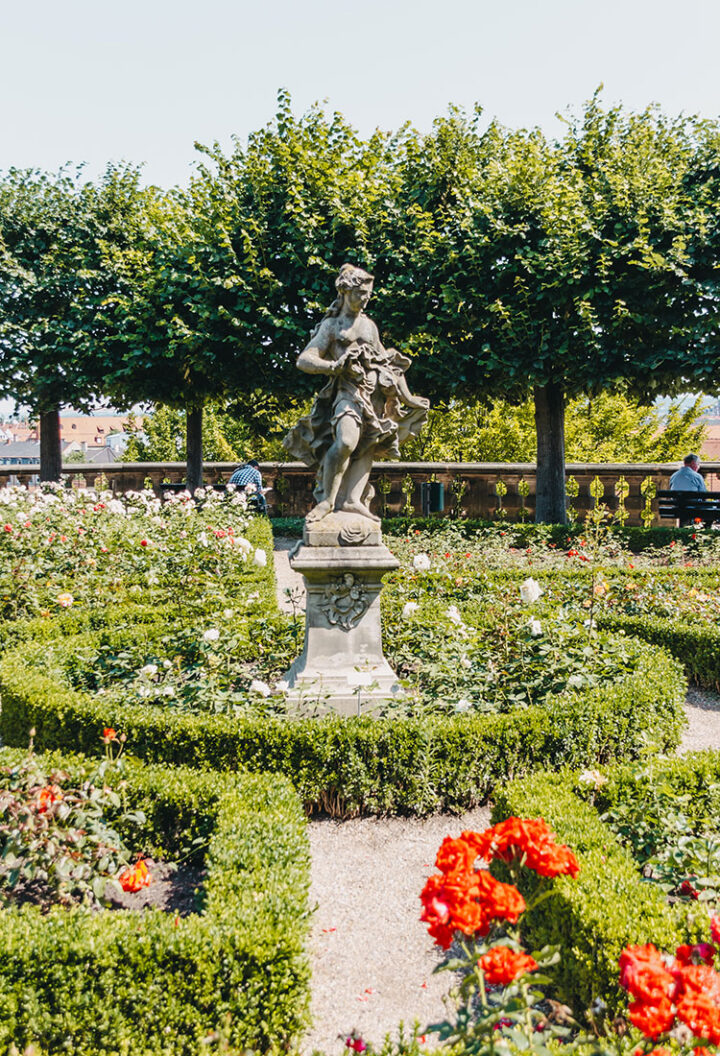 Der Rosengarten in Bamberg, Franken
