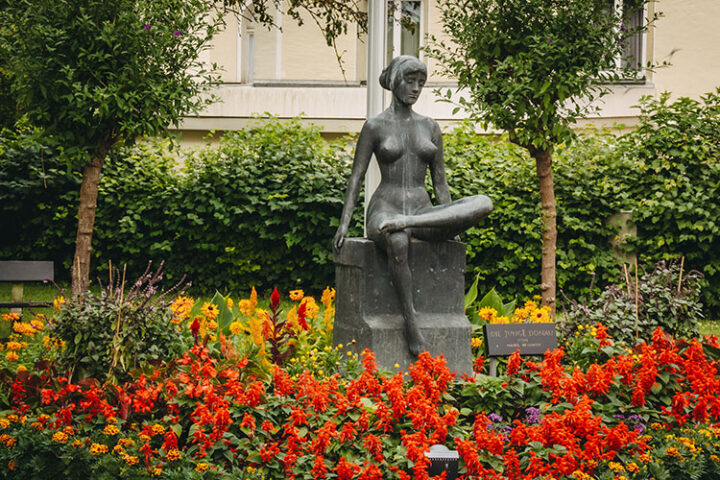 Die Junge Donau, Donauwörth