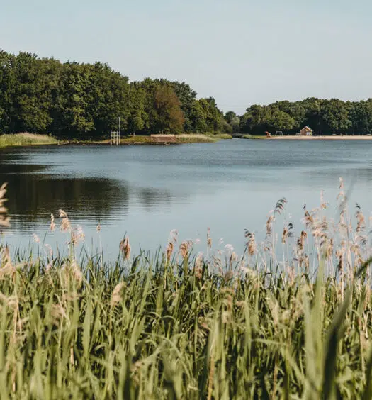 Highlights & Sehenswürdigkeiten im Südosten der Provinz Groningen