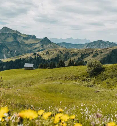 Bregenzerwald in Vorarlberg: Ausflugsziele & Tipps