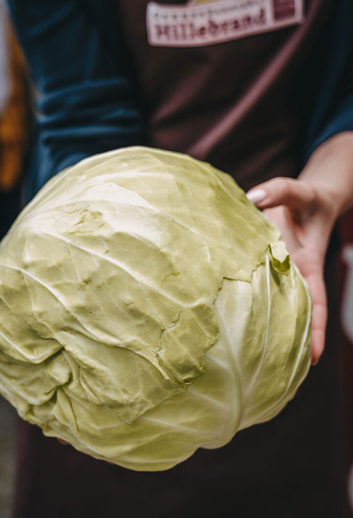 Genussbauernhof Hillebrand, Region Graz, Österreich