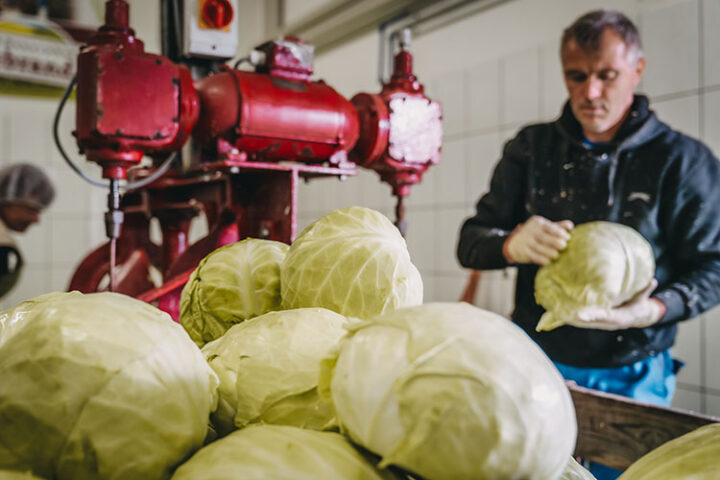Genussbauernhof Hillebrand, Region Graz, Österreich