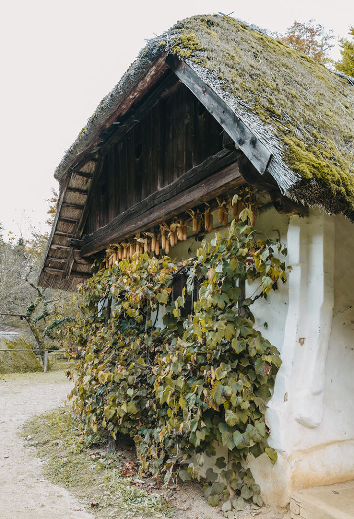 Freilichtmuseum Stübing, Region Graz, Steiermark, Österreich
